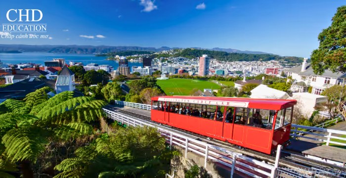 lộ trình đi new zealand cho học sinh Việt
