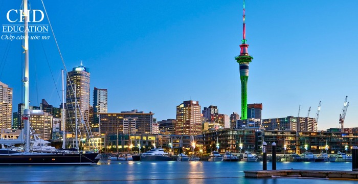 du học new zealand nên học thẳng hay học dự bị