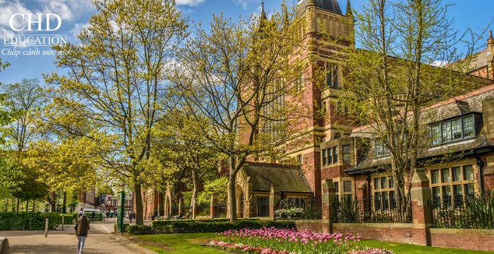 điều kiện đầu vào Đại học Leeds