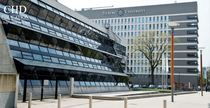 trường Kinh tế và Quản lý Tilburg Hà Lan