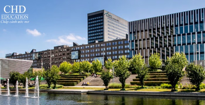 trường quản lý Rotterdam Hà Lan