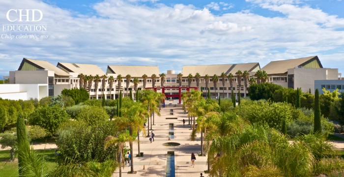 Đại học Alicante 