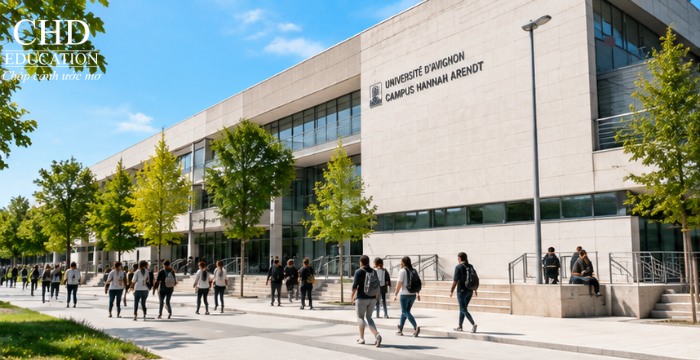 Đại học Avignon