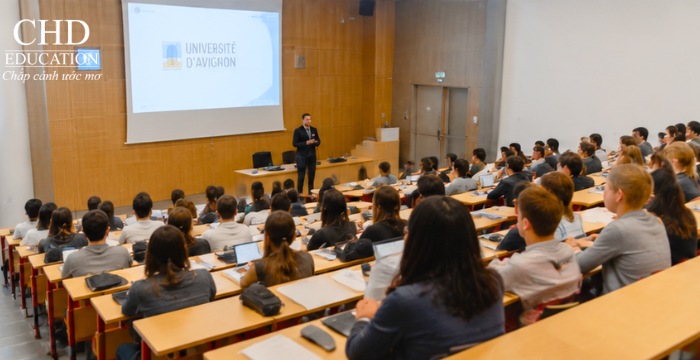 học tại Đại học Avignon Pháp