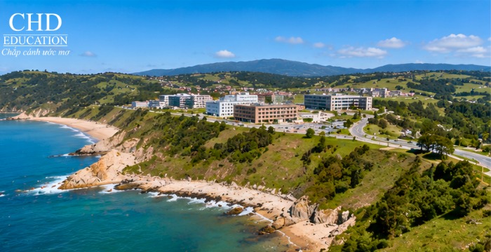 Đại học Cantabria TBN