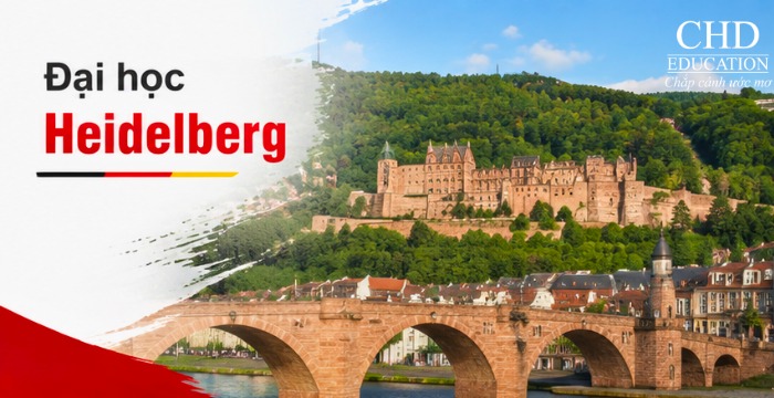 Đại học Heidelberg