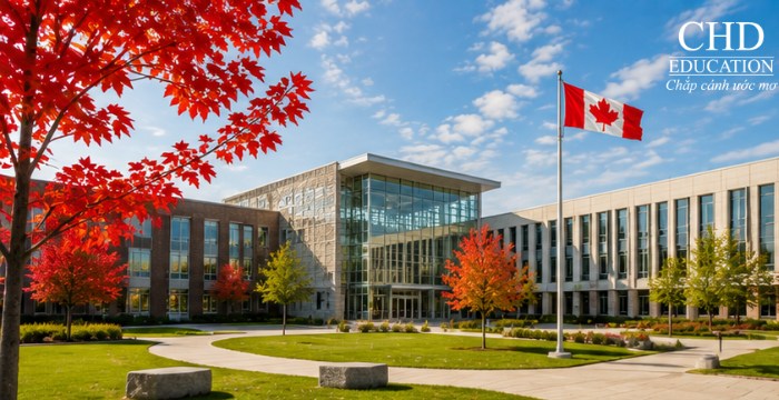 cơ hội việc làm khi học tại bang Ontario Canada