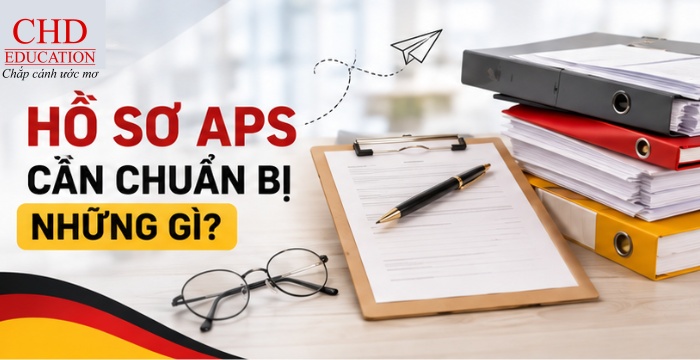 hồ sơ APS cần chuẩn bị những gì