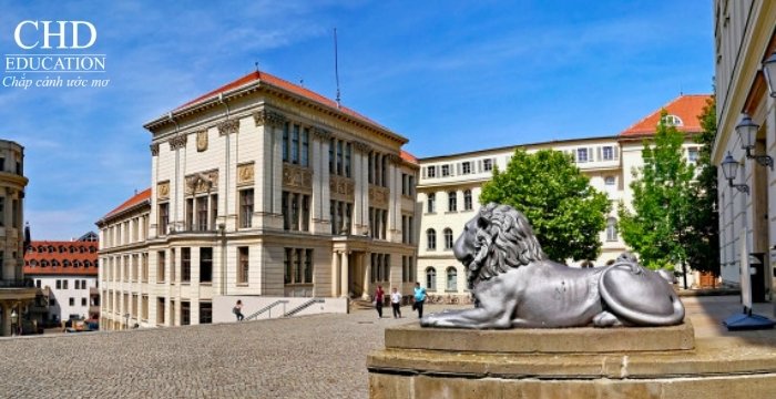 học tại Đại học Martin Luther Halle-Wittenberg