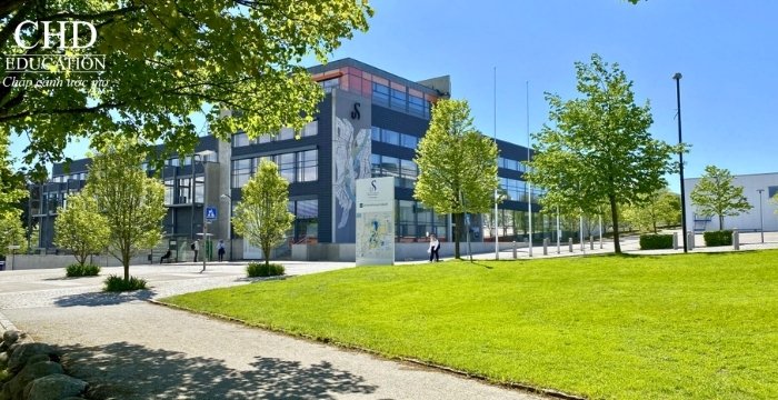 Đại học Stavanger